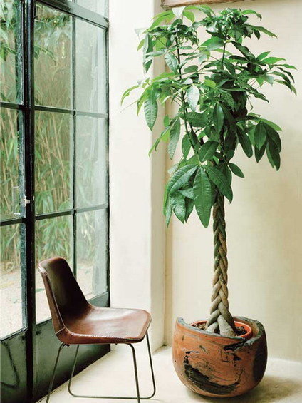 Фотография: Флористика в стиле , Стиль жизни – фото на INMYROOM