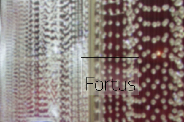 Фото из портфолио Fortus – фотографии дизайна интерьеров на INMYROOM