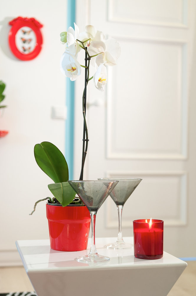 Фотография: Аксессуары в стиле Прованс и Кантри, Квартира, Дома и квартиры – фото на INMYROOM Фотография: Аксессуары в стиле Прованс и Кантри, Квартира, Дома и квартиры – фото на INMYROOM