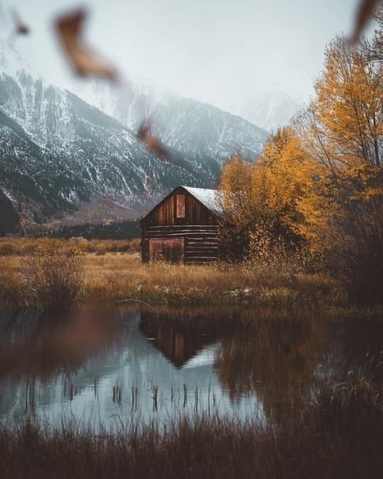 Фотография: в стиле , Дом, Дача, Гид – фото на INMYROOM Фотография: в стиле , Дом, Дача, Гид – фото на INMYROOM