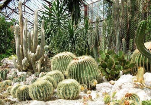 Фотография: Флористика в стиле , Балкон, Дом, Дома и квартиры – фото на INMYROOM