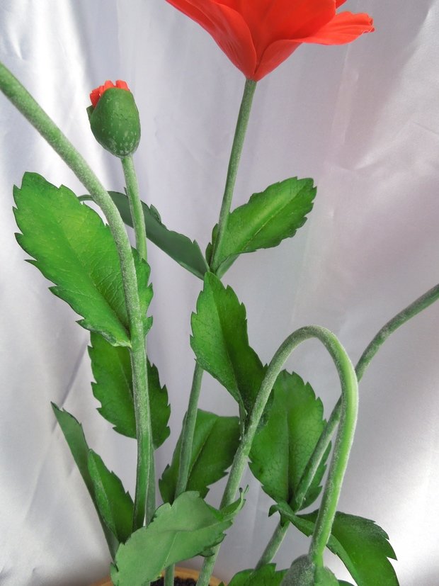 Фото из портфолио Цветы из холодного фарфора – фотографии дизайна интерьеров на INMYROOM
