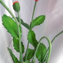 Фото из портфолио Цветы из холодного фарфора – фотографии дизайна интерьеров на INMYROOM