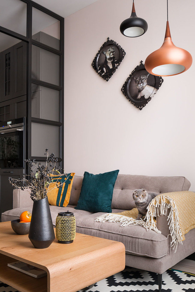 Фотография: Гостиная в стиле Современный, Скандинавский, Квартира, Проект недели, Киев, Монолитный дом, 2 комнаты, 40-60 метров, Виктория Витковская, Виктория Ступак – фото на INMYROOM Фотография: Гостиная в стиле Современный, Скандинавский, Квартира, Проект недели, Киев, Монолитный дом, 2 комнаты, 40-60 метров, Виктория Витковская, Виктория Ступак – фото на INMYROOM