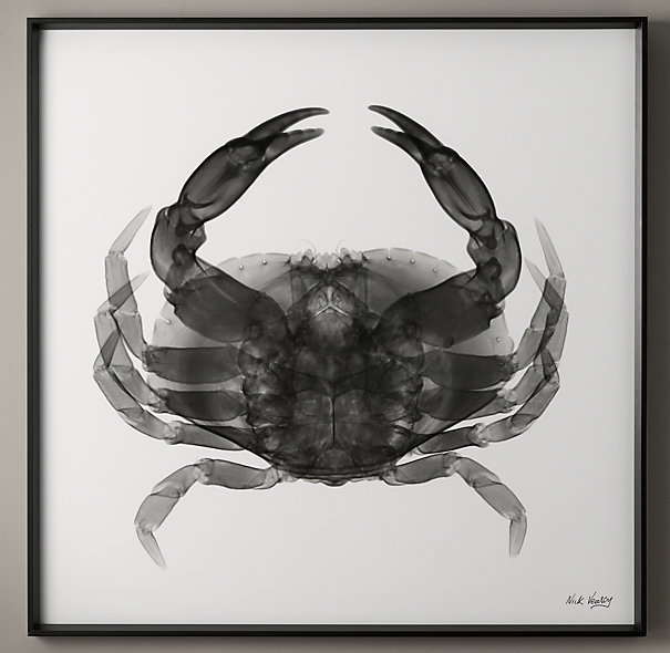 Фото из портфолио Декор для стен – фотографии дизайна интерьеров на InMyRoom.ru
