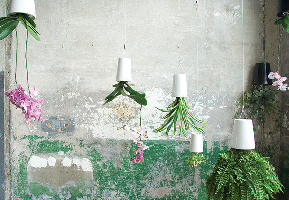 Фотография: Гостиная в стиле Современный, Минимализм, Декор интерьера, Декор дома – фото на INMYROOM Фотография: Гостиная в стиле Современный, Минимализм, Декор интерьера, Декор дома – фото на INMYROOM