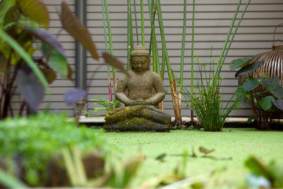 Фотография: Ландшафт в стиле Прованс и Кантри, Современный, Восточный – фото на INMYROOM