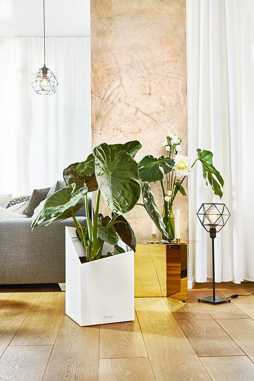 Фото из портфолио Кашпо напольное Lechuza CURSIVO – фотографии дизайна интерьеров на INMYROOM