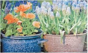 Фото из портфолио Коврики – фотографии дизайна интерьеров на INMYROOM
