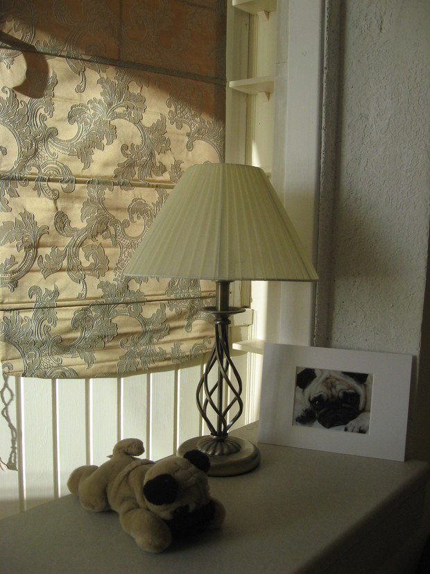 Фото из портфолио "Мопсомания" – фотографии дизайна интерьеров на INMYROOM