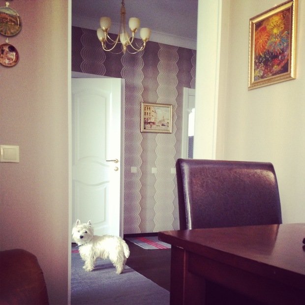 Фото из портфолио 2 – фотографии дизайна интерьеров на InMyRoom.ru