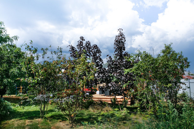 Фотография: Ландшафт в стиле Современный, Стиль жизни, Дача, Дачный ответ – фото на INMYROOM Фотография: Ландшафт в стиле Современный, Стиль жизни, Дача, Дачный ответ – фото на INMYROOM