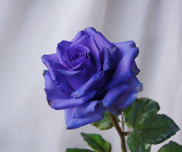 Фото из портфолио Мои избранные статьи – фотографии дизайна интерьеров на INMYROOM