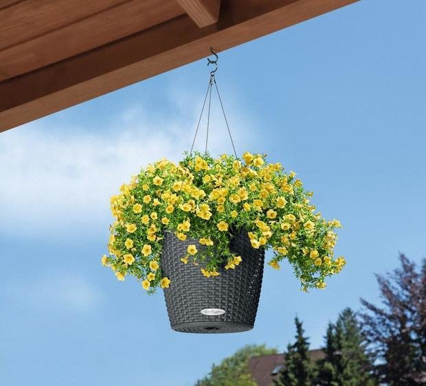 Фото из портфолио Цветочный горшок с автополивом LECHUZA (Лечуза) NIDO – фотографии дизайна интерьеров на INMYROOM