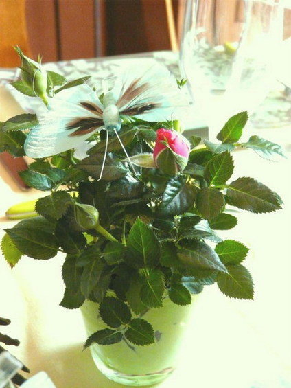 Фотография: Флористика в стиле , Декор и DIY, Дом, Декор дома, Сервировка стола – фото на INMYROOM