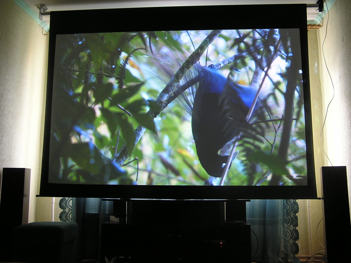 Фотография: Прочее в стиле , – фото на INMYROOM Фотография: Прочее в стиле , – фото на INMYROOM