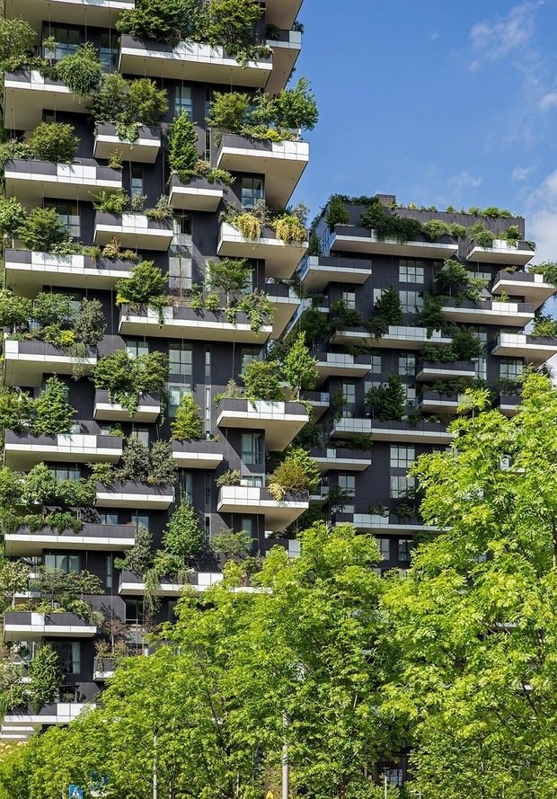 Фото из портфолио Апартаменты в ЖК Bosco Verticale в Милане – фотографии дизайна интерьеров на INMYROOM