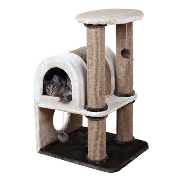 Фотография: Кухня и столовая в стиле Классический, DIY, Квартира, Дом, животные дома – фото на INMYROOM