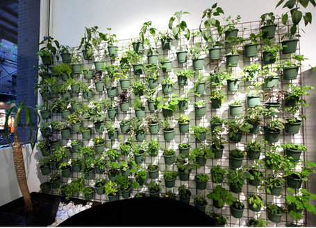 Фотография: Флористика в стиле , Балкон, Стиль жизни – фото на INMYROOM