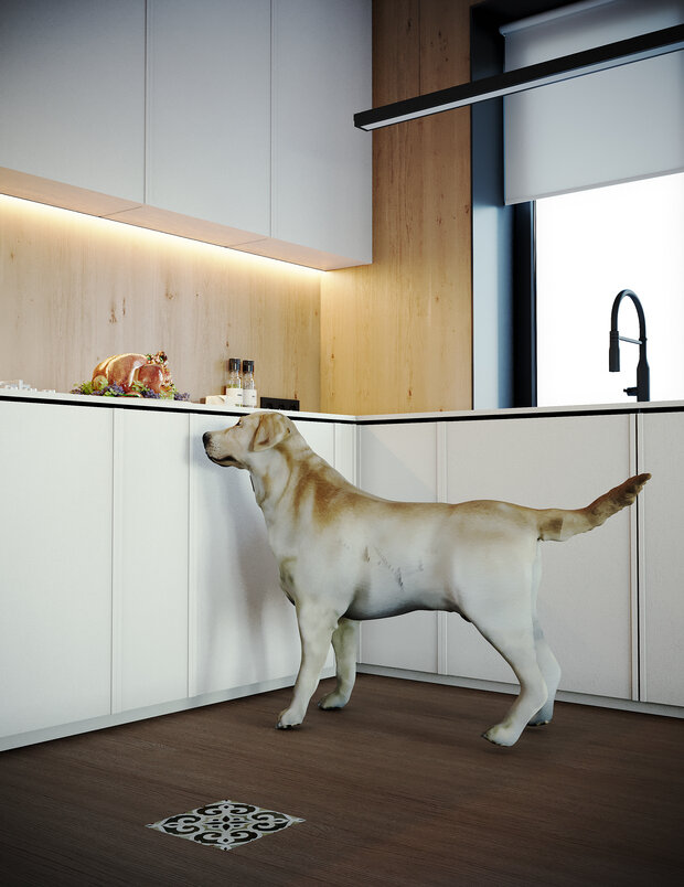 Фото из портфолио kitchen dining room – фотографии дизайна интерьеров на INMYROOM