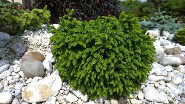 Фото из портфолио Photos – фотографии дизайна интерьеров на INMYROOM