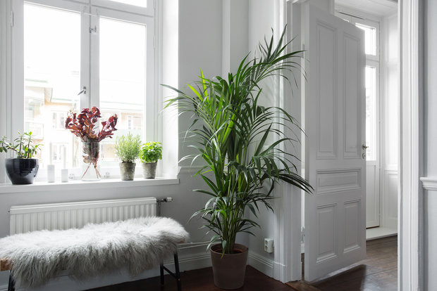 Фото из портфолио ÅSÖGATAN 135 – фотографии дизайна интерьеров на INMYROOM