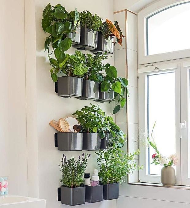 Фото из портфолио Кашпо с автополивом LECHUZA GLOSSY GREEN Wall – фотографии дизайна интерьеров на INMYROOM