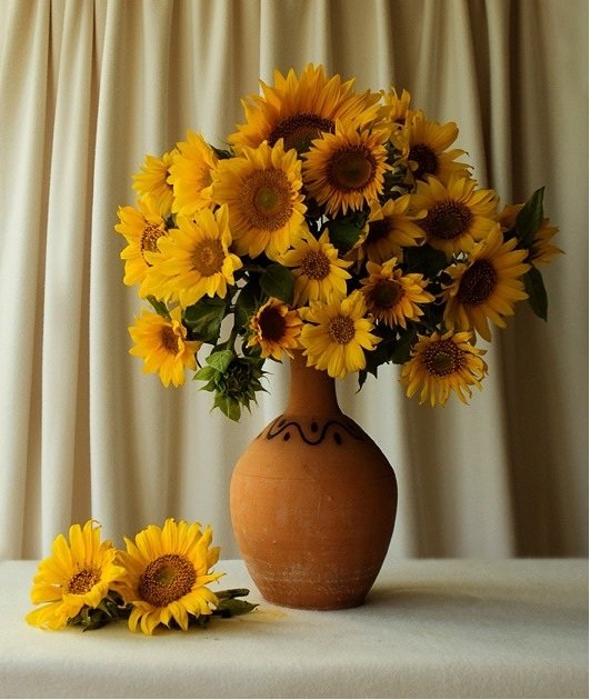 Фотография: Флористика в стиле , Декор интерьера, DIY, Дом, Цветы – фото на INMYROOM