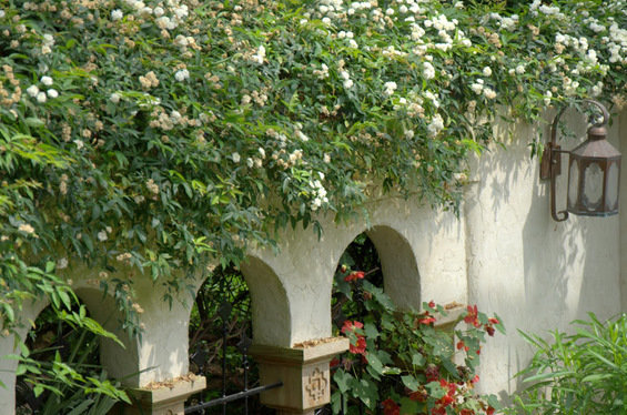 Фотография: Ландшафт в стиле Прованс и Кантри, Классический, Современный – фото на INMYROOM