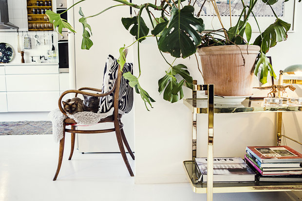 Фото из портфолио Артистический беспорядок в квартире настоящего художника – фотографии дизайна интерьеров на INMYROOM