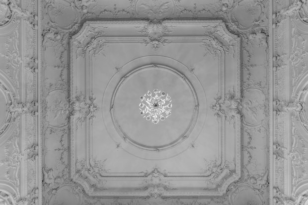 Фото из портфолио Николаевский дворец – фотографии дизайна интерьеров на InMyRoom.ru
