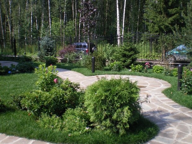 Фото из портфолио Озеленение и благоустройство – фотографии дизайна интерьеров на INMYROOM