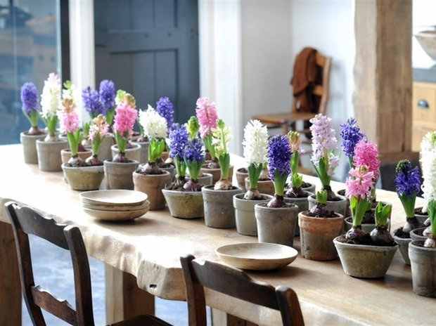 Фотография: Флористика в стиле , Классический, Скандинавский, Современный, Эклектика, Декор интерьера, Дизайн интерьера, Советы, Минимализм, Зеленый, Эко, растения в интерьере, озеленение, флористика – фото на INMYROOM