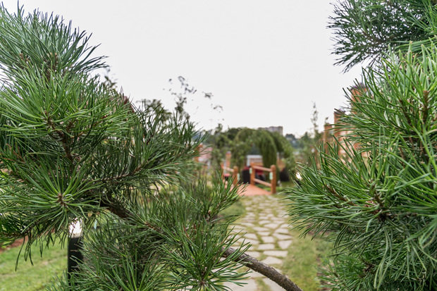 Фотография: Ландшафт в стиле Современный, Стиль жизни, Дачный ответ – фото на INMYROOM