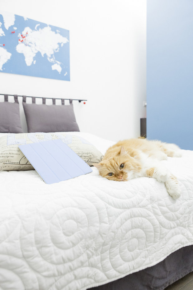 Фото из портфолио the blue whale – фотографии дизайна интерьеров на INMYROOM