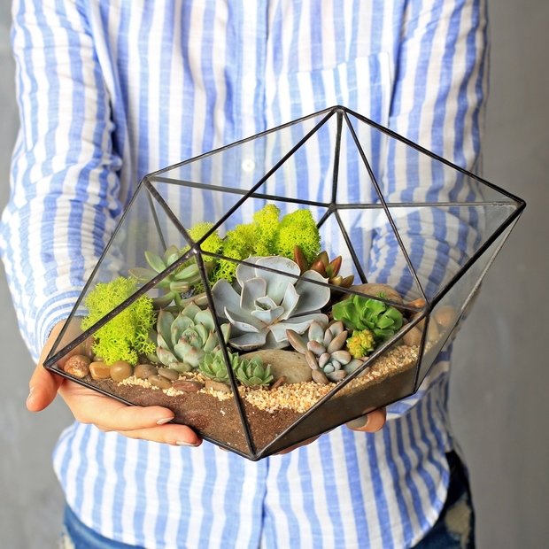 Флорариум «Кристалл»