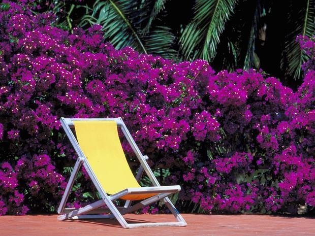 Фотография: Ландшафт в стиле , Дача, Дом и дача, Клининг, Karcher – фото на INMYROOM