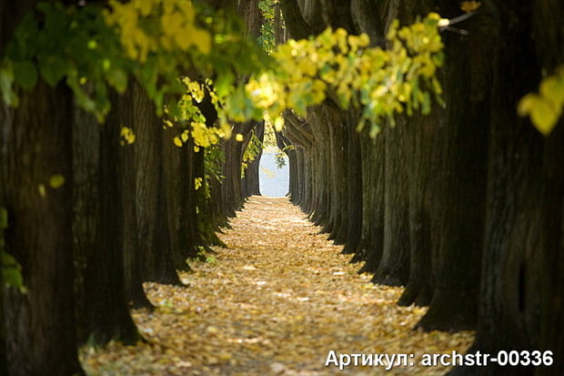 Фото из портфолио Арки, Улицы, Терасы – фотографии дизайна интерьеров на InMyRoom.ru