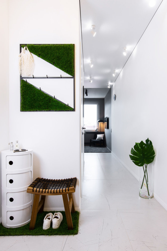 Фотография: Прихожая в стиле Минимализм, Квартира, Студия, Проект дня, Москва, до 40 метров, Давид Аксенов – фото на INMYROOM Фотография: Прихожая в стиле Минимализм, Квартира, Студия, Проект дня, Москва, до 40 метров, Давид Аксенов – фото на INMYROOM