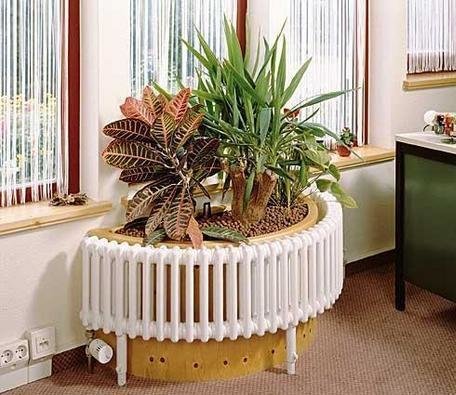 Фотография: Флористика в стиле , Декор интерьера, Декор дома – фото на INMYROOM