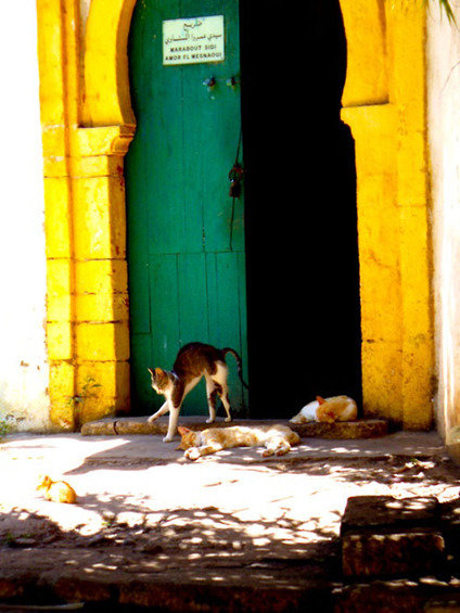 Фотография: Архитектура в стиле Прованс и Кантри, Восточный – фото на INMYROOM