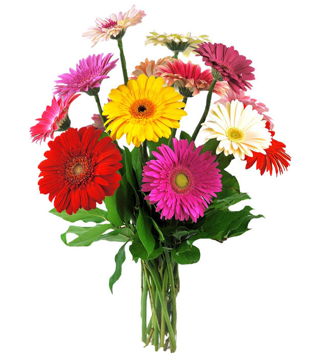 Фотография: Флористика в стиле , Декор интерьера, DIY, Дом, Стиль жизни – фото на INMYROOM