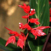 Фото из портфолио фото – фотографии дизайна интерьеров на INMYROOM