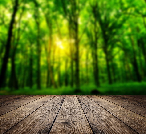 Фото из портфолио Фотографии в интерьере – фотографии дизайна интерьеров на InMyRoom.ru