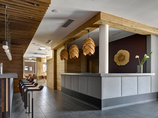 Фото из портфолио Отель Австрия – фотографии дизайна интерьеров на INMYROOM