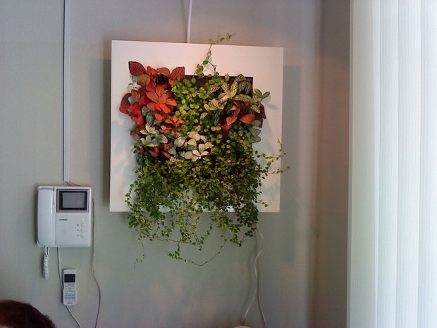 Фото из портфолио Мои фотографии – фотографии дизайна интерьеров на INMYROOM