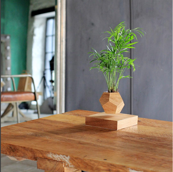 Левитирующий горшок