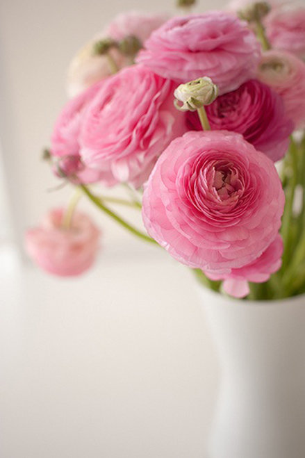 Фотография: Флористика в стиле , Декор интерьера, Декор дома, Декор свадьбы, Цветы, Свадебный декор – фото на INMYROOM Фотография: Флористика в стиле , Декор интерьера, Декор дома, Декор свадьбы, Цветы, Свадебный декор – фото на INMYROOM