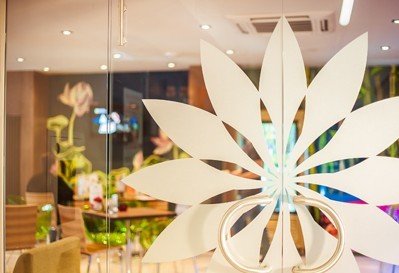 Фото из портфолио Эко-Кафе "UNIQUE Organic Bar" – фотографии дизайна интерьеров на INMYROOM