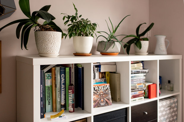 Фотография: Декор в стиле Скандинавский, Современный, Малогабаритная квартира, Квартира, Проект недели, Химки, 2 комнаты, LeBero, Ольга Березуева, ПРЕМИЯ INMYROOM – фото на INMYROOM